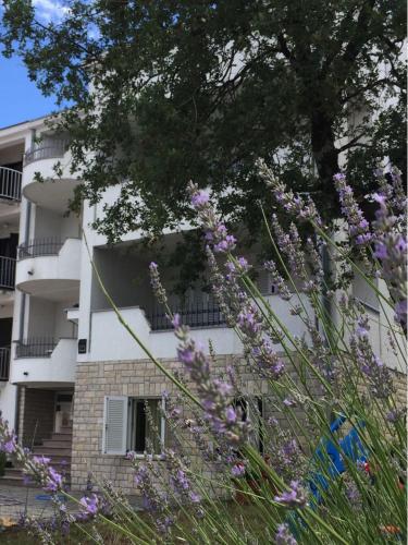 Ana - carbon neutral hotel in Unknown City