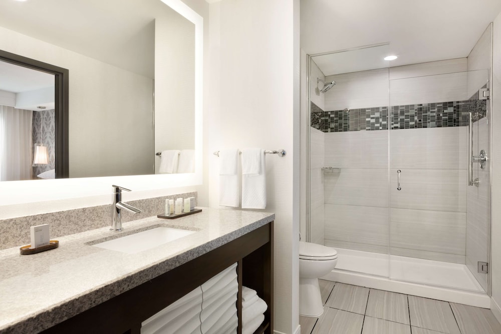 Embassy Suites by Hilton Atlanta NE Gwinnett Sugarloaf - photo 19