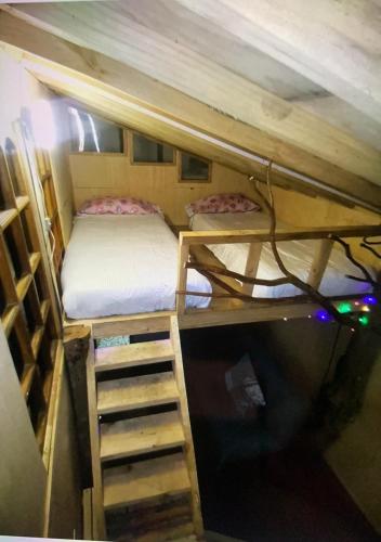 Cabaña bosque - carbon neutral hotel in Unknown City