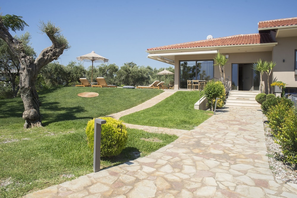 Elaia Grove — Kalamata — photo 2