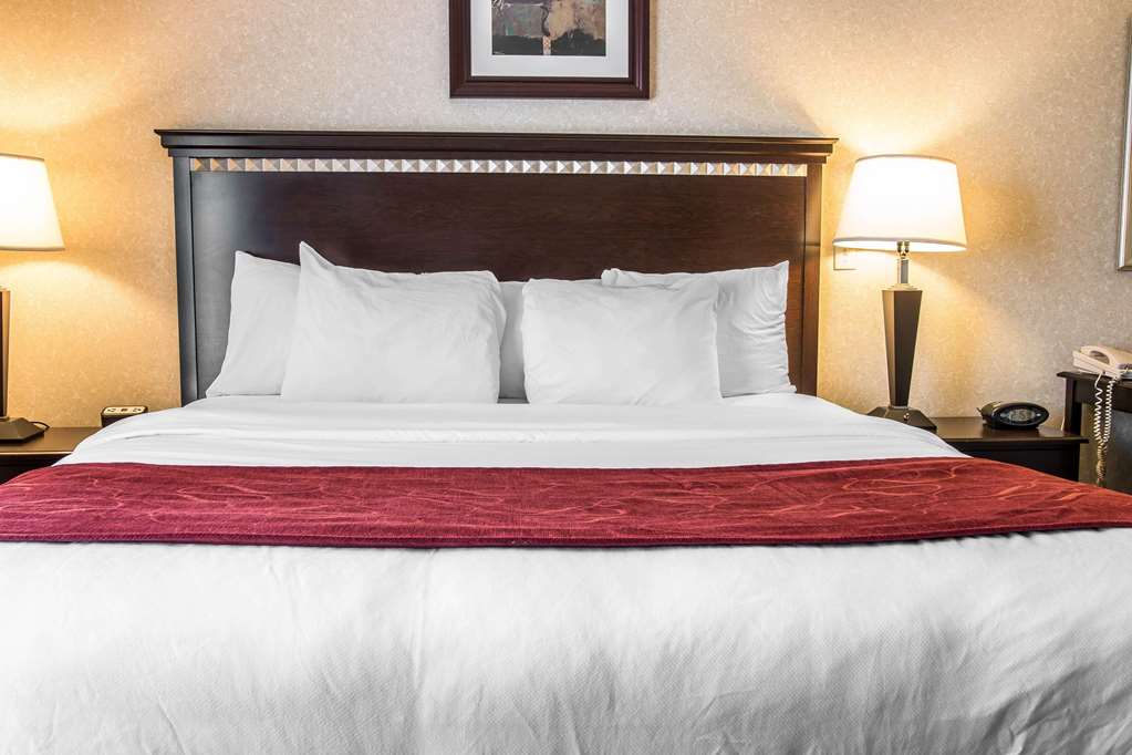 Comfort Suites Canton Detroit - photo 13