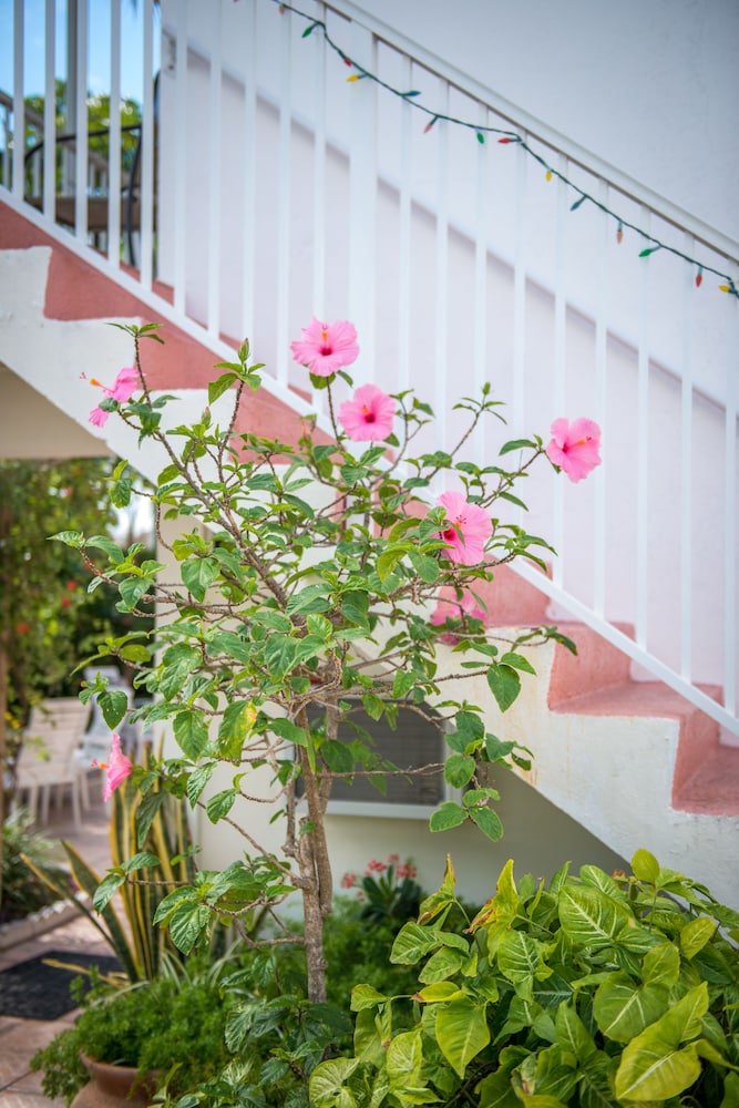 Shore Haven Resort Inn - photo 34