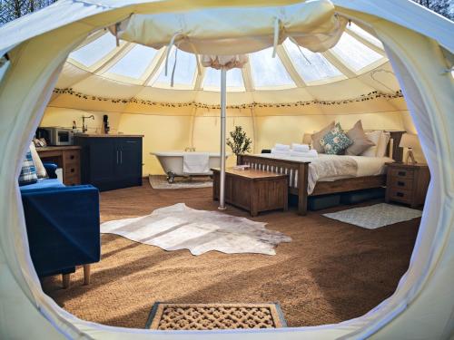 Stargazers in Norwich, United Kingdom