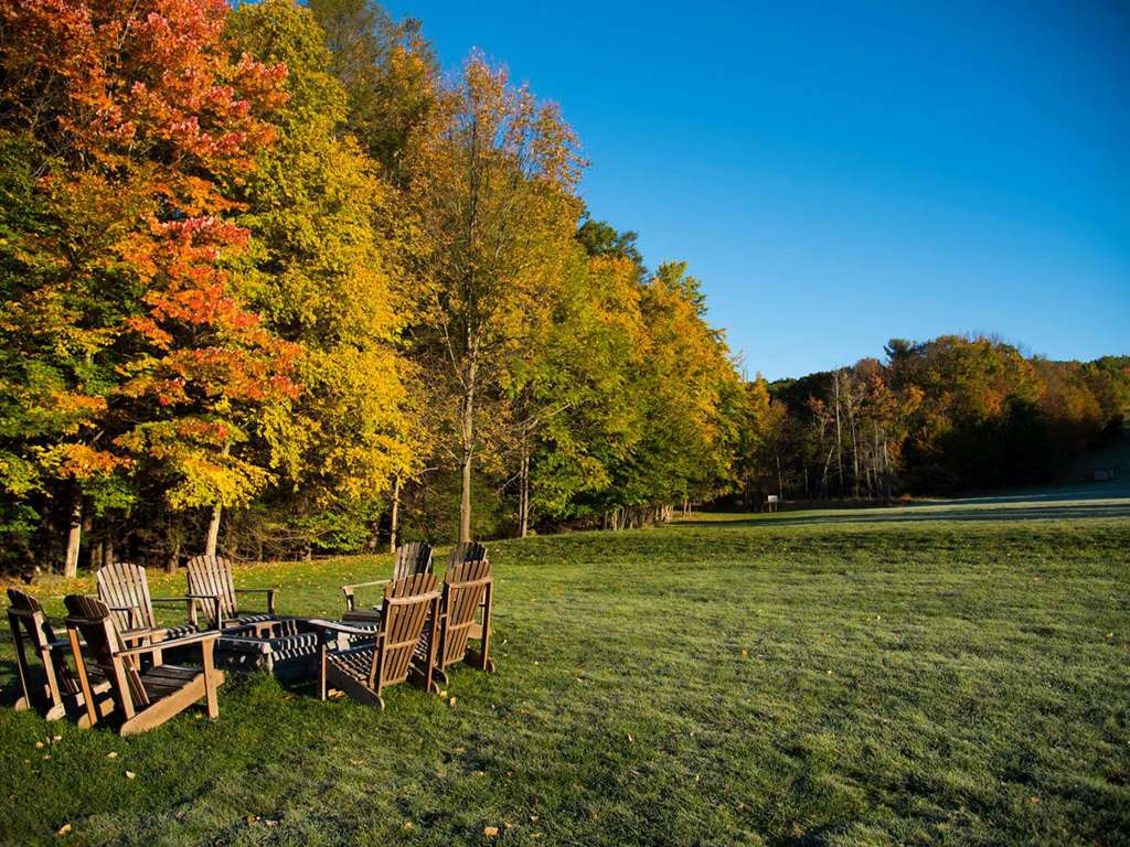 Cove Haven Resort - photo 19