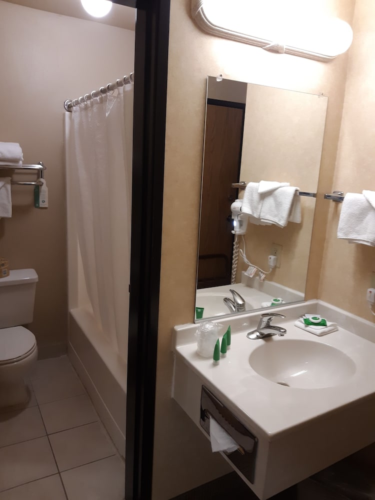 Lavissh Inn & Suites - photo 15
