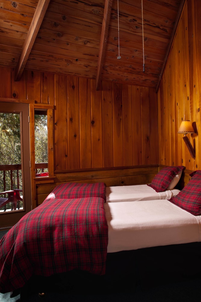 Idyllwild Bunkhouse - photo 2