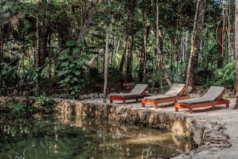 Natural pool