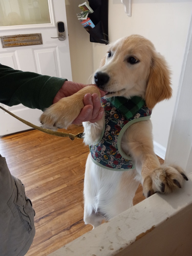 Sea Shell Motel - photo 2