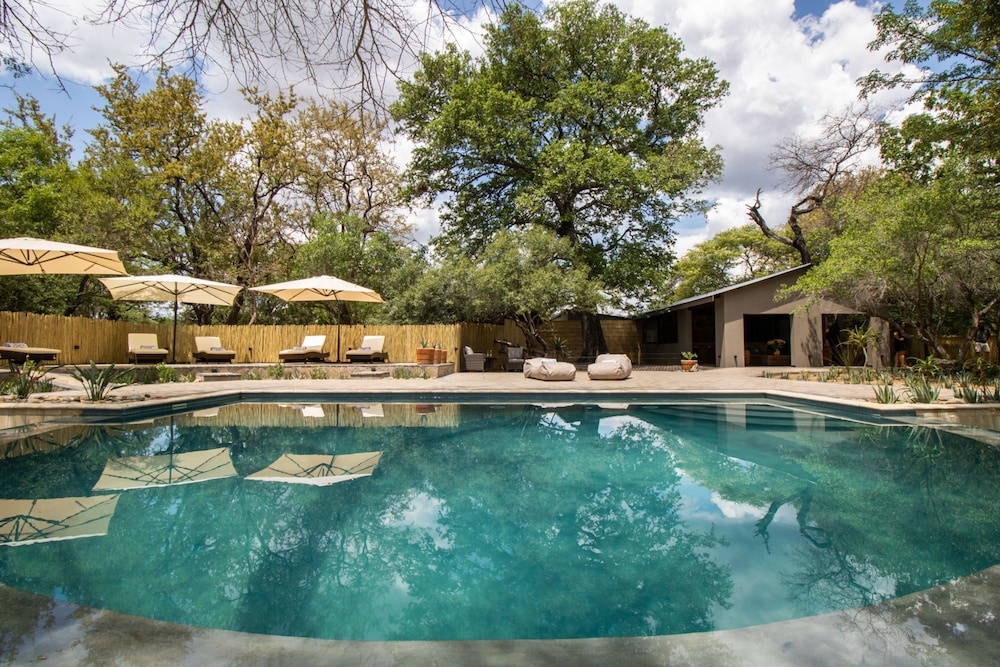 Little Africa Safari Lodge — 4-Star Luxury Hotel in Hoedspruit, South Africa