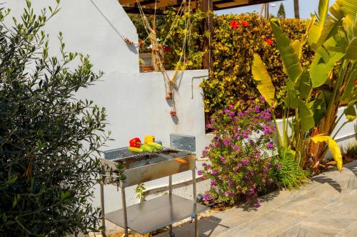 Fig Tree Bay Villa 3