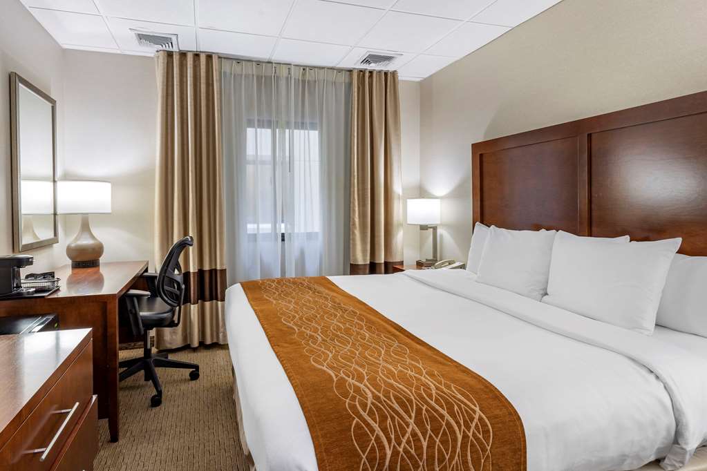 Comfort Inn Syosset Long Island - photo 11