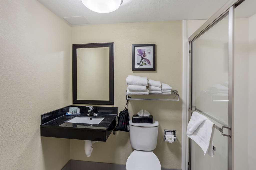 Best Western Harrisburg North Hotel - photo 22