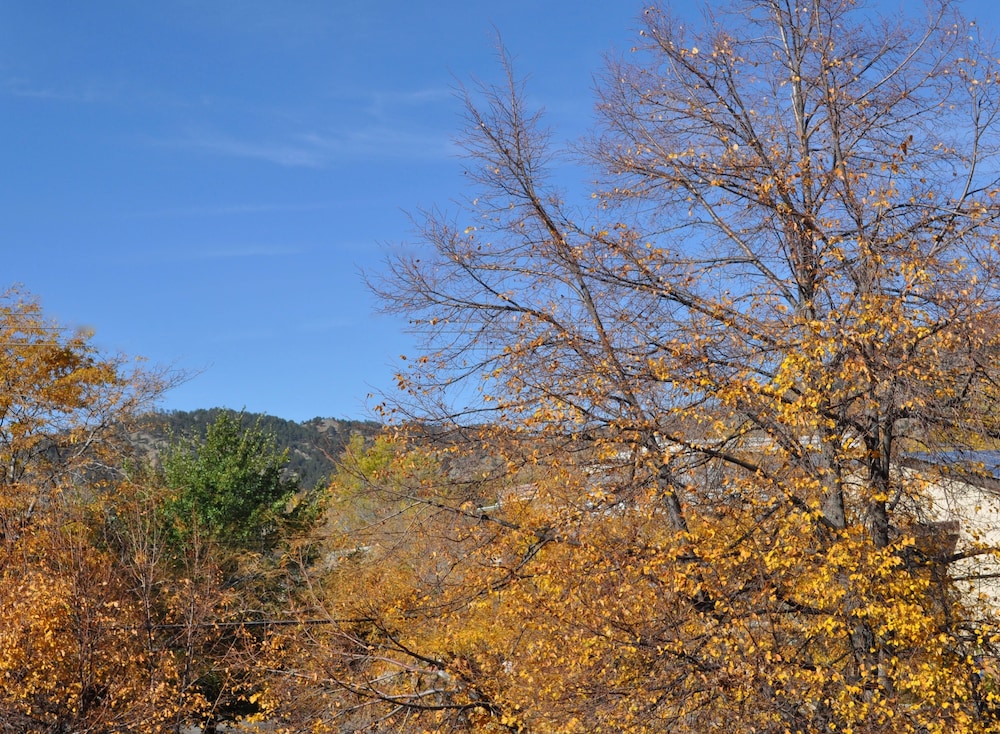 Bradley Boulder Inn - photo 24