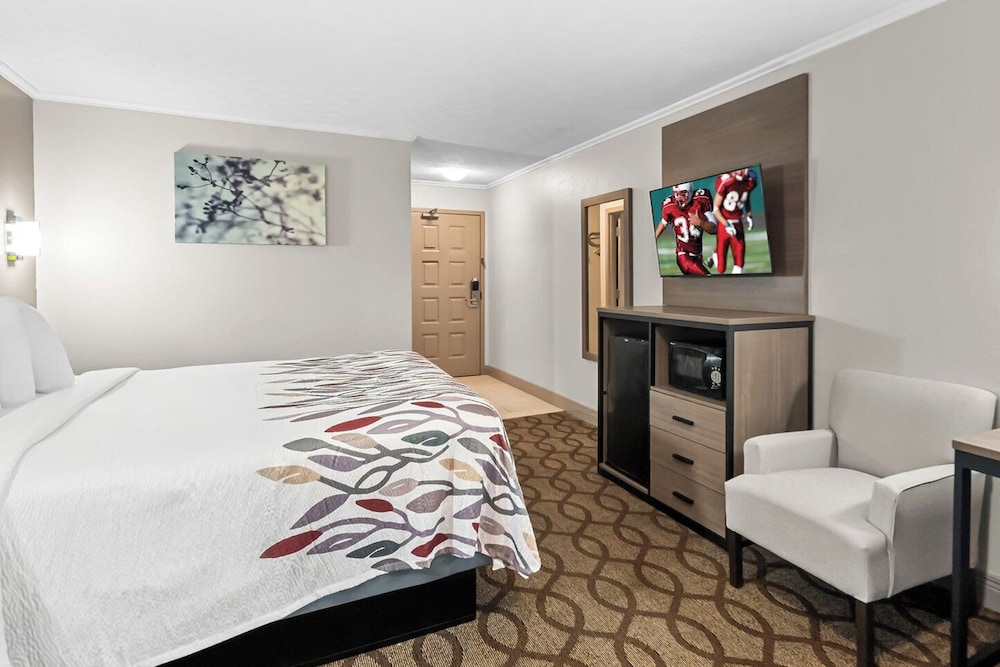 Red Roof Inn Lexington Hamburg - photo 7