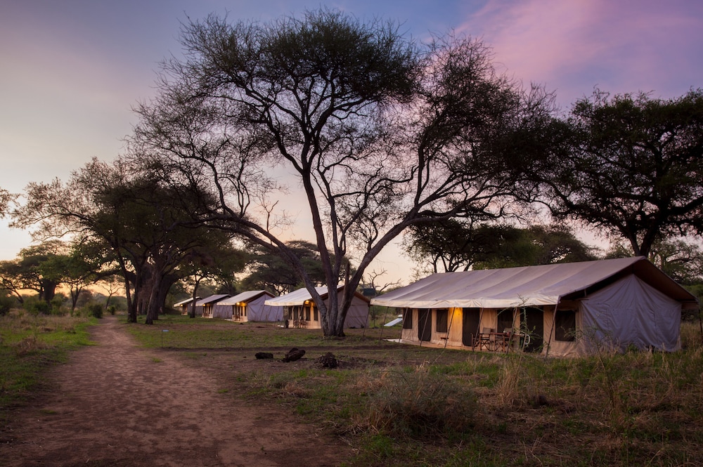 Baobab Tented Camp — Babati — photo 2