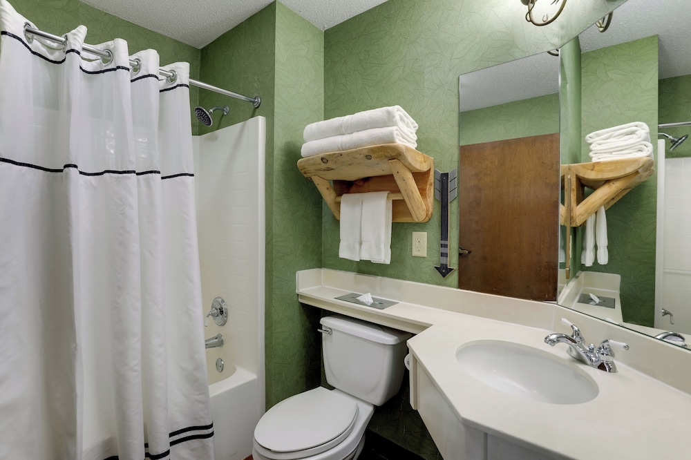Stoney Creek Hotel La Crosse Onalaska - photo 25