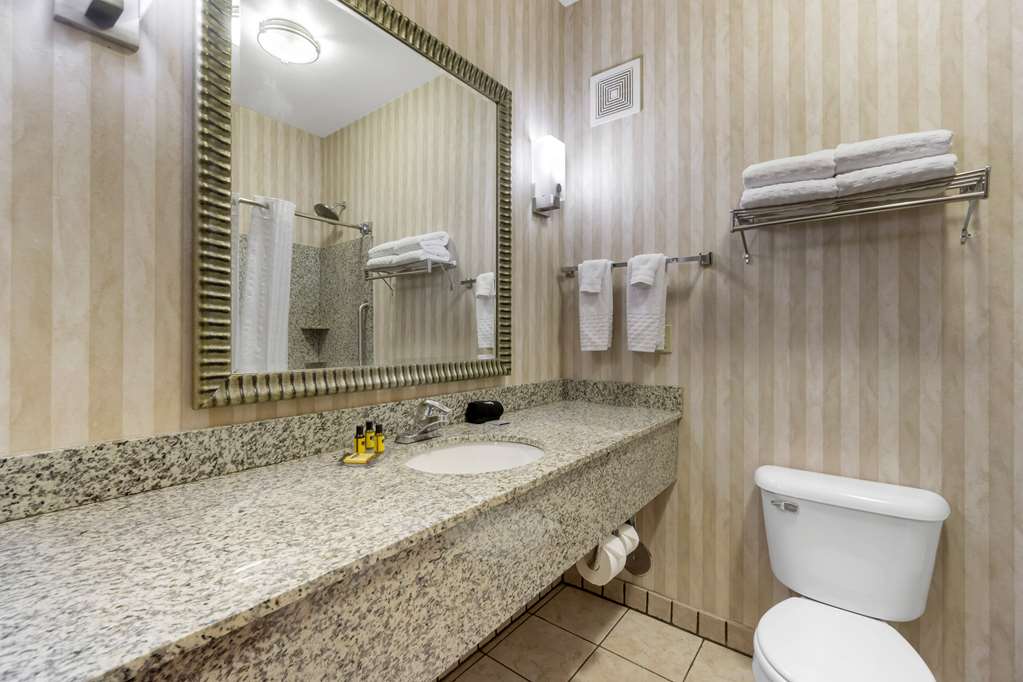 Best Western Plus Ellensburg Hotel - photo 26