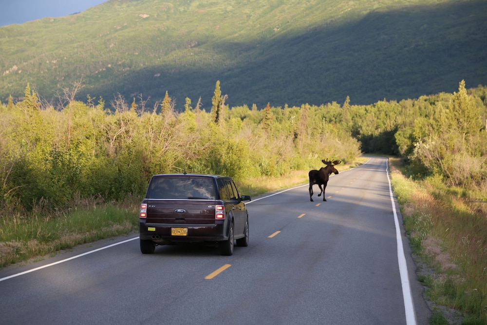 Knik River Lodge - photo 28