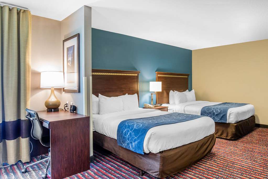 Comfort Suites Fairview Heights St. Louis - photo 15