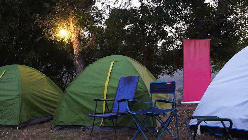 Moustache Kamp Kalakund — Indore — photo 5