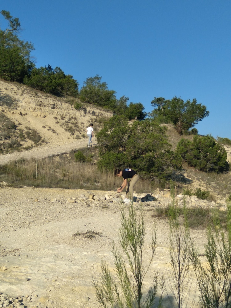 The Dietzel - photo 28