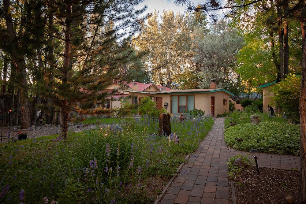 Dreamcatcher Bed and Breakfast - photo 102