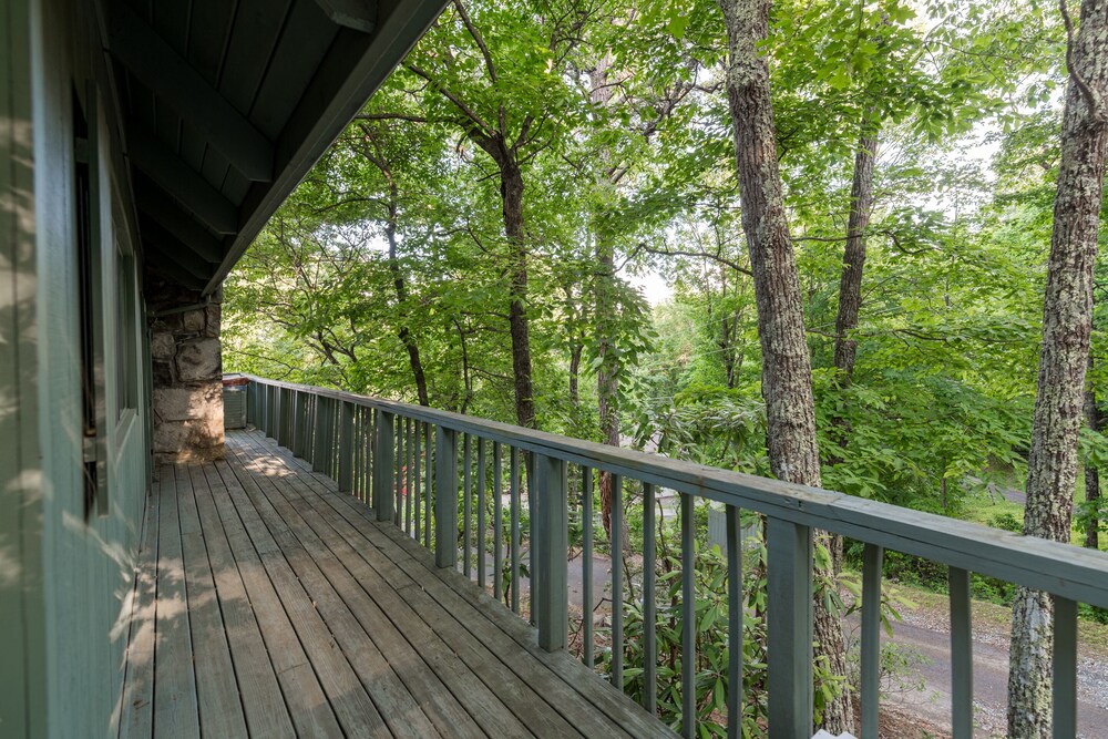 A Bears View - photo 22