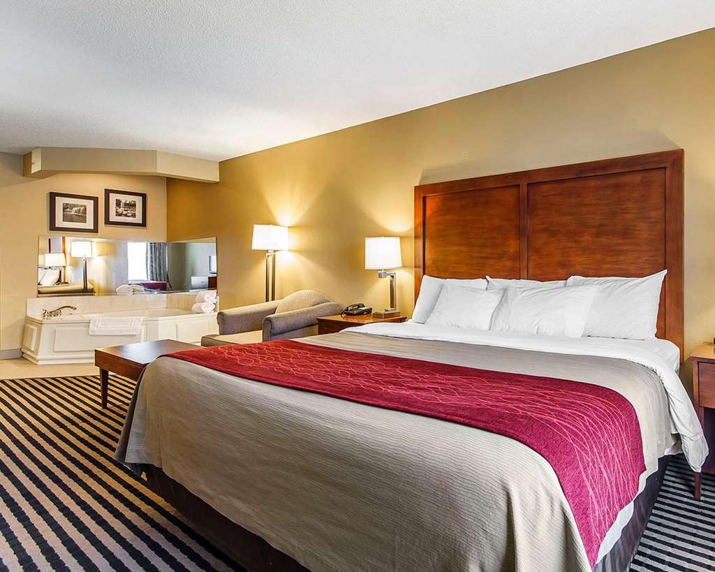 Comfort Inn Owatonna near Medical Center - photo 39