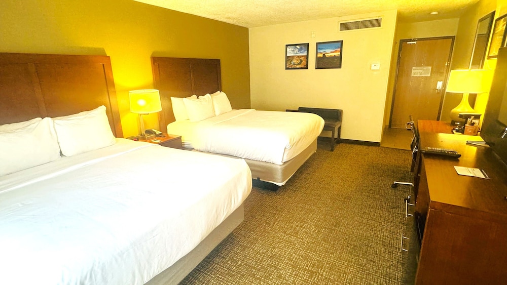 Comfort Inn Salt Lake City Downtown - photo 27