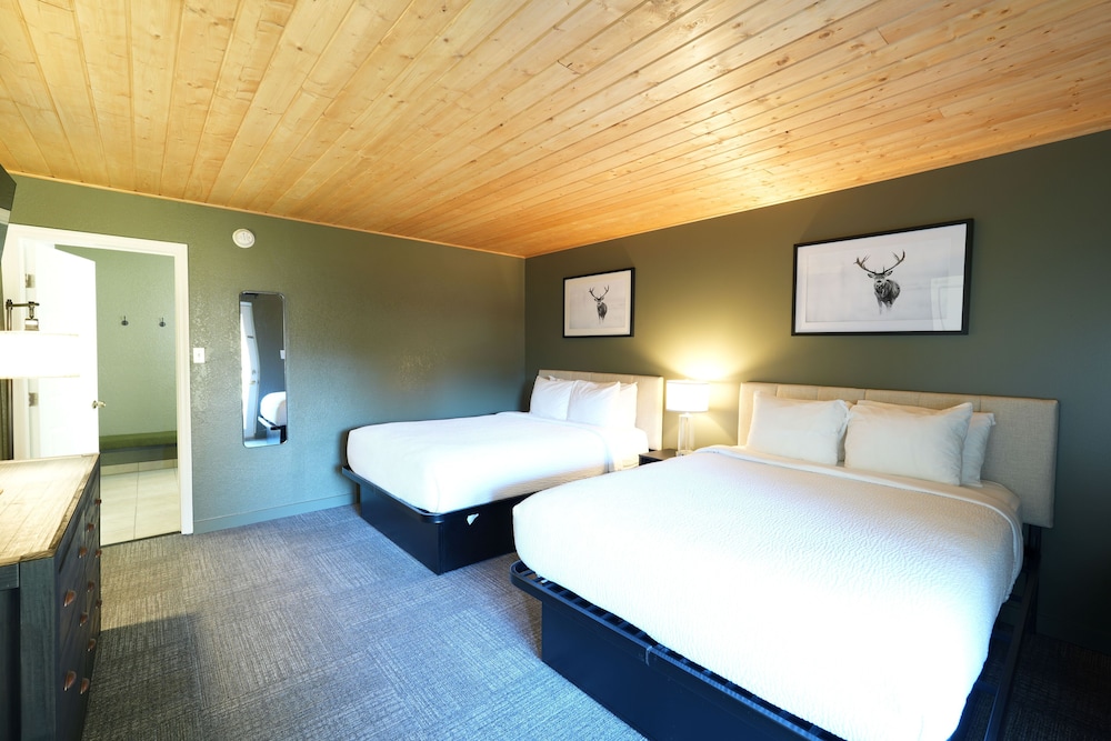 Tremont Lodge & Resort - photo 142