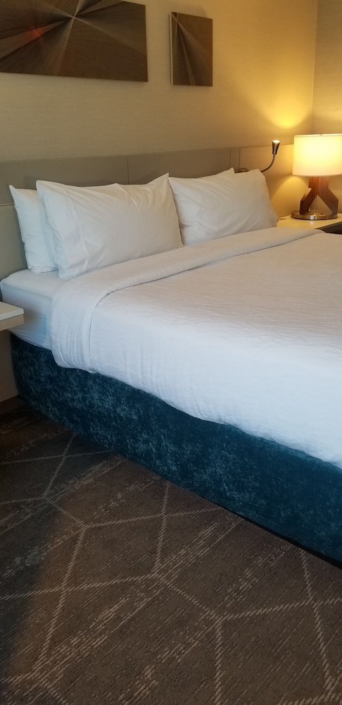 Hilton Garden Inn Colorado Springs Downtown - photo 18