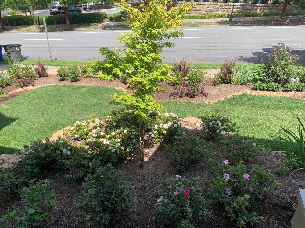 Summit Street Inns - photo 128