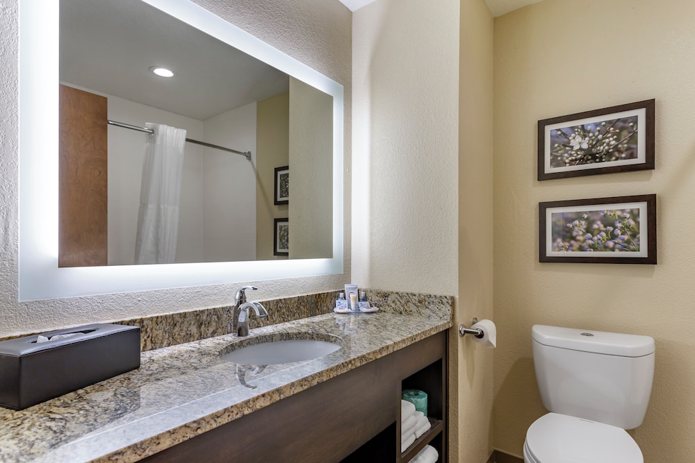 Comfort Inn St. Robert Fort Leonard Wood - photo 16