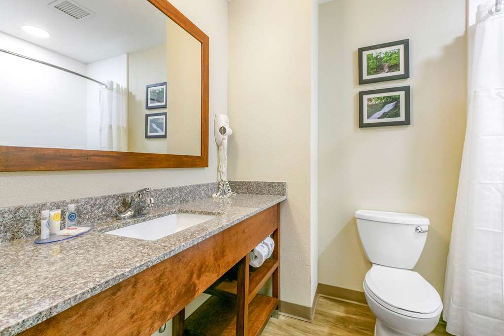 Comfort Inn & Suites Van Buren Fort Smith - photo 24