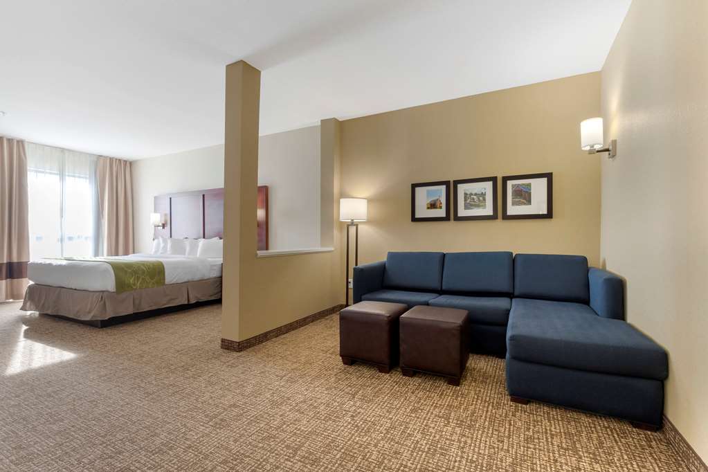 Comfort Suites Piedmont Greenville South - photo 21