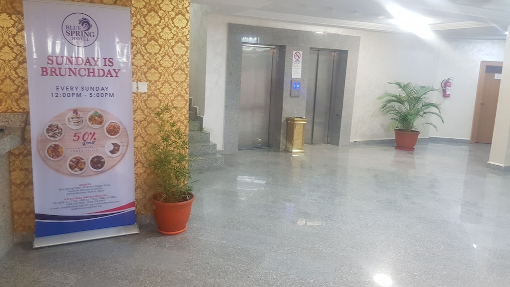 Blue Springs Hotel — Abuja — photo 2