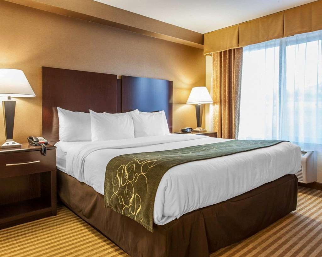 Comfort Suites Wenatchee Gateway - photo 8