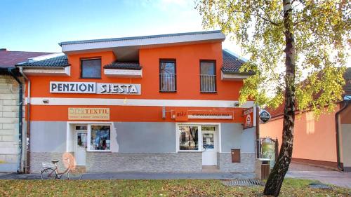 Penzion Siesta — Vrable — photo 3