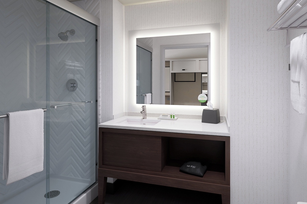 Holiday Inn St. Louis Creve Coeur - photo 10