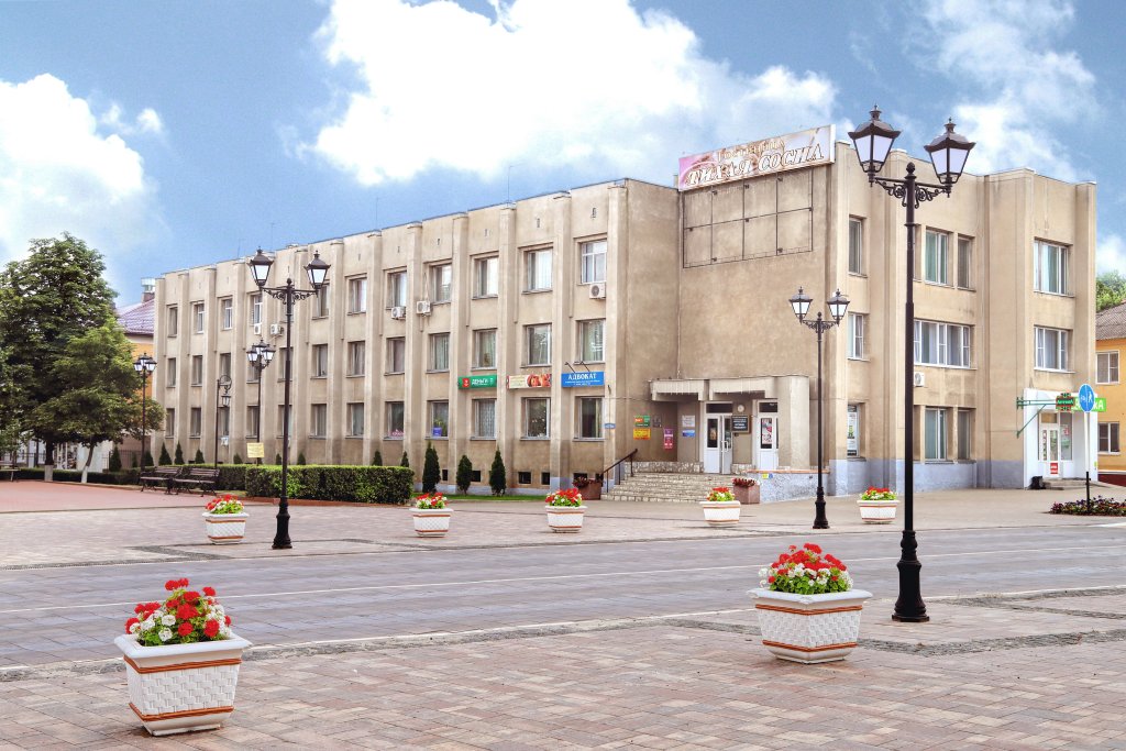 Hotel Gostinitsa Tikhaya Sosna in Alekseyevka, Russia