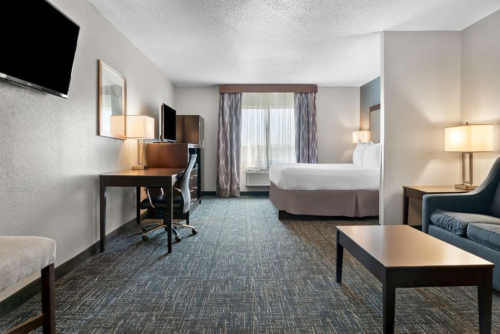 Best Western Plus Flint Airport Inn & Suites - photo 20