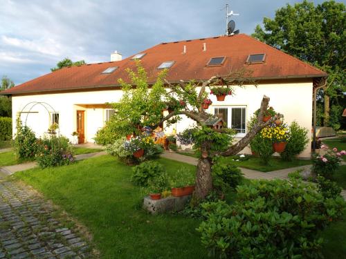 Ubytování Poustka — 4-Star Luxury Hotel in Frantiskovy Lazne, Czech Republic
