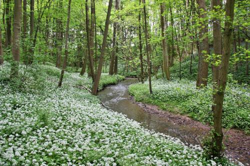 Finest Retreats Ingleby Manor Manor Cottage
