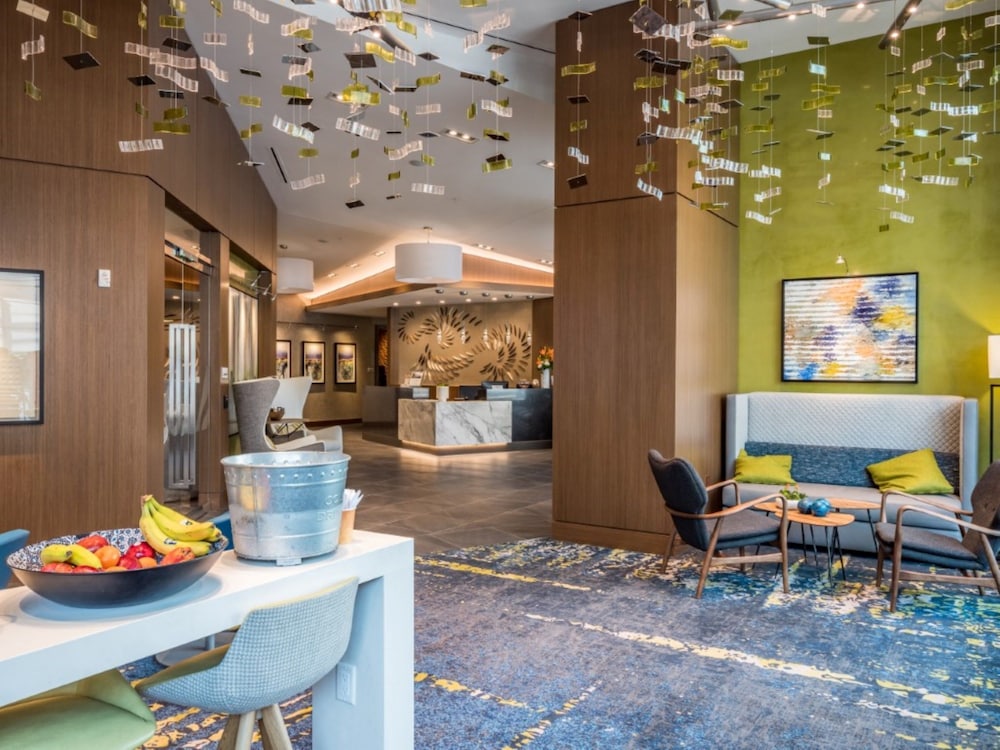 Bluebird Suites near Chevy Chase - photo 23