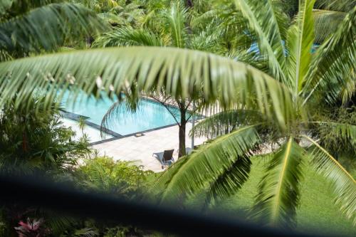 Kewarra Beach Studio Apt with Resort Pool and BBQ — hotel in Kewarra Beach