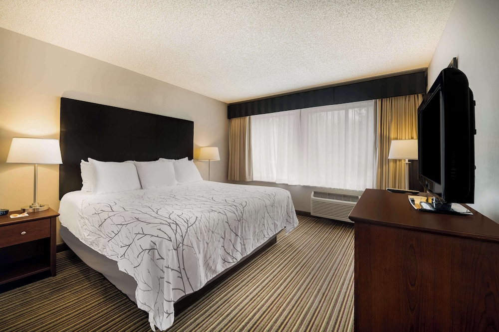 Best Western Park Oasis Inn - photo 10