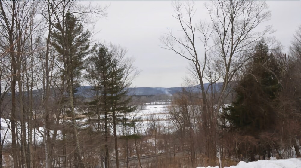 Thornewood Inn & Restaurant - photo 51
