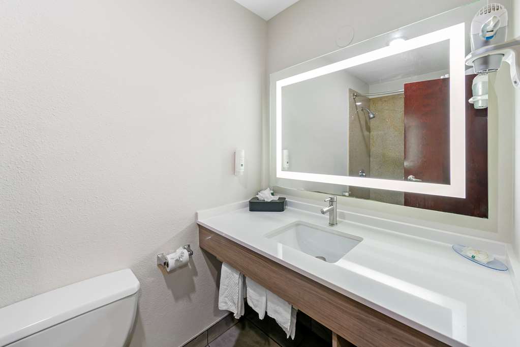 Quality Inn & Suites Sacramento Downtown Area - photo 10