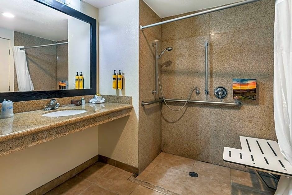 Americas Best Value Inn & Suites Wine Country Santa Rosa - photo 29