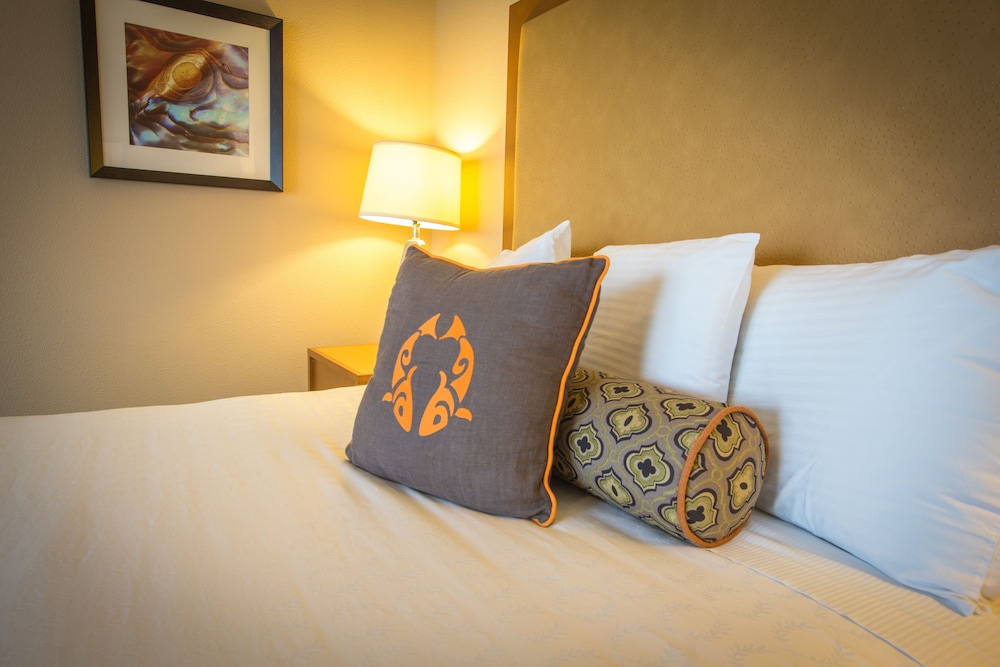 The Coho Oceanfront Lodge - photo 7